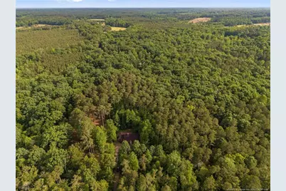 353 Covered Bridge Lane, Sanford, NC 27330 - Photo 38