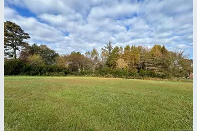 4132 Chancellors Ridge Way, Sanford, NC 27330 - Photo 6