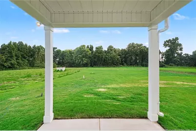 117 Margot Manor Drive, Benson, NC 27504 - Photo 34