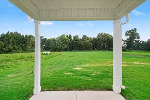 117 Margot Manor Dr, Benson, NC 27504 - Photo 34