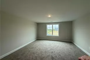 46 Grady Farm Way, Benson, NC 27504 - Photo 12