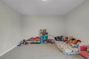 64 Dalmation Ln, Parkton, NC 28371 - Photo 22