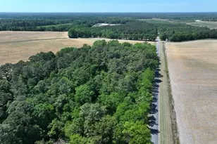Tbd N Duffie Rd, Red Springs, NC 28377 - Photo 2