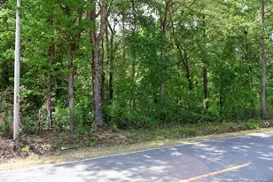 Tbd N Duffie Rd, Red Springs, NC 28377 - Photo 8