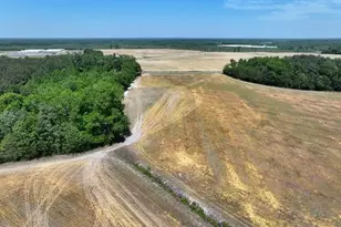 Tbd N Duffie Rd, Red Springs, NC 28377 - Photo 16