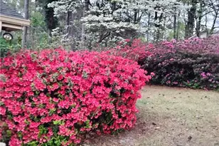 434 Derose Dr, Fayetteville, NC 28311 - Photo 36