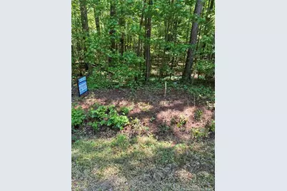 Near 294 Airport Road Road, Bladenboro, NC 28320 - Photo 1