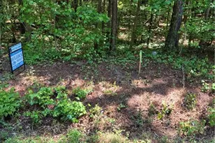 Near 294 Airport Road Rd, Bladenboro, NC 28320 - Photo 1
