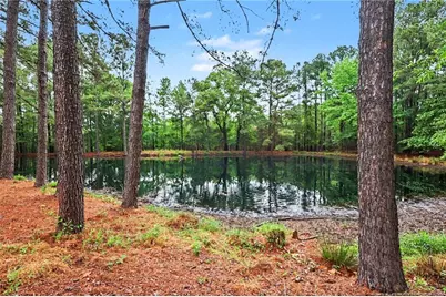 1004 Wentworth Court, Sanford, NC 27330 - Photo 48