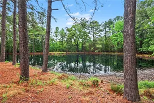 1004 Wentworth Ct, Sanford, NC 27330 - Photo 48