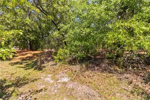 4825 Miranda Dr, Hope Mills, NC 28348 - Photo 36