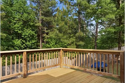142 Bluebonnet Oak Court, Bunnlevel, NC 28323 - Photo 46