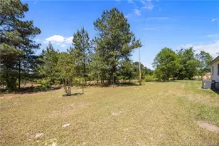 810 McKoy Town Rd, Cameron, NC 28326 - Photo 30