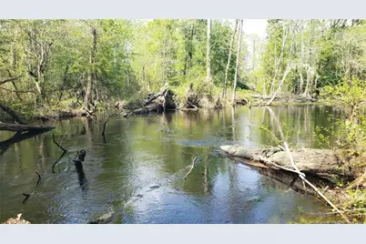 52 Acres River Access, Lumberton, NC 28360 - Photo 6
