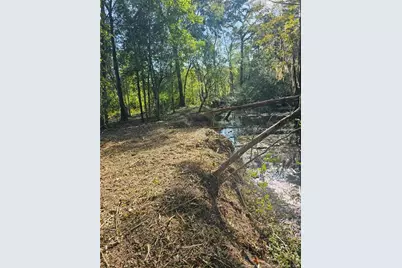 52 Acres River Access, Lumberton, NC 28360 - Photo 18
