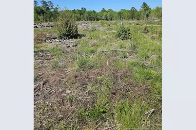 52 Acres River Access, Lumberton, NC 28360 - Photo 14