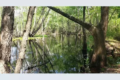 52 Acres River Access, Lumberton, NC 28360 - Photo 8