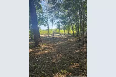 52 Acres River Access, Lumberton, NC 28360 - Photo 16