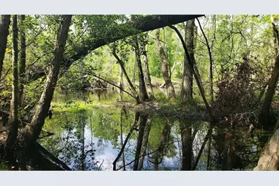 52 Acres River Access, Lumberton, NC 28360 - Photo 10