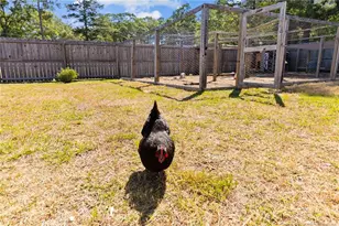 6308 Anise Ln, Stedman, NC 28391 - Photo 46