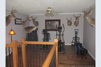 3744 Nc Hwy 210 Highway E, Harrells, NC 28444 - Photo 30