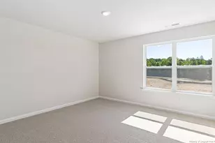 3085 Platinum Cir, West End, NC 27376 - Photo 18