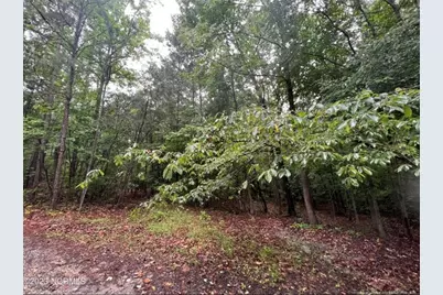 Tbd Buggy Drive W, Carthage, NC 28327 - Photo 12