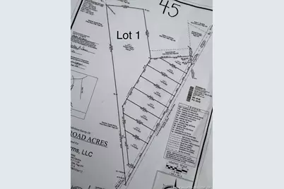 Lot 1 Fairley Road, Maxton, NC 28364 - Photo 2