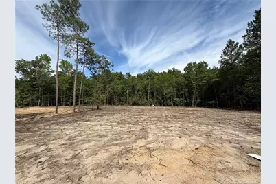 125 Omie Branch Lane, Lillington, NC 27546 - Photo 8