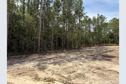 420 Grand Griffon Way, Lillington, NC 27546 - Photo 8