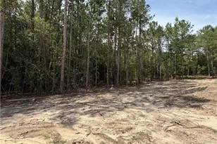 420 Grand Griffon Wy, Lillington, NC 27546 - Photo 8
