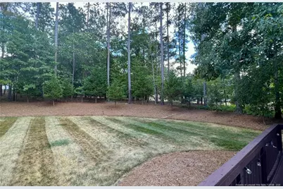 3083 Carolina Way, Sanford, NC 27332 - Photo 22
