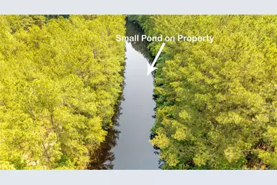 Big Piney Grove Road, Clinton, NC 28328 - Photo 4