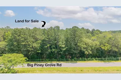 Big Piney Grove Road, Clinton, NC 28328 - Photo 6