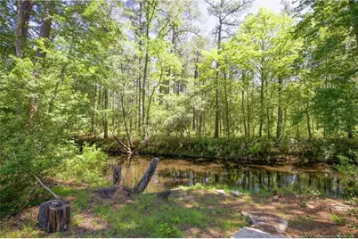 168 Riverview Drive, Vass, NC 28394 - Photo 38