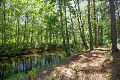 168 Riverview Drive, Vass, NC 28394 - Photo 40