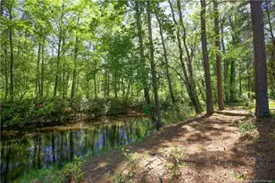 168 Riverview Dr, Vass, NC 28394 - Photo 40