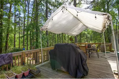 168 Riverview Drive, Vass, NC 28394 - Photo 36