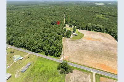 145 Opossum Ln, Harrells, NC 28444 - Photo 6