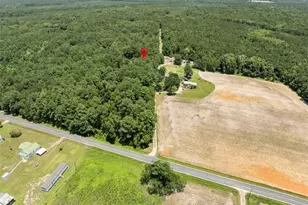 145 Opossum Ln, Harrells, NC 28444 - Photo 6