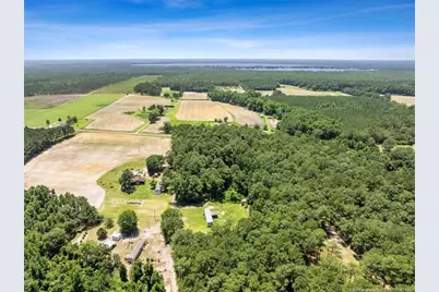145 Opossum Ln, Harrells, NC 28444 - Photo 8