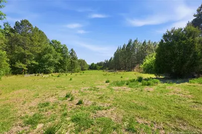 478 Rattlesnake Trail, Aberdeen, NC 28315 - Photo 2