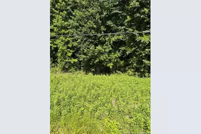 Lemon Springs Road, Sanford, NC 27332 - Photo 4