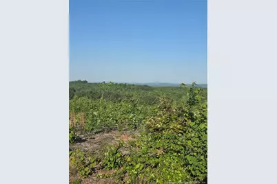 000 Skeen View Road, Asheboro, NC 27205 - Photo 4