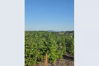 000 Skeen View Road, Asheboro, NC 27205 - Photo 10