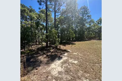 88 Dove Trail, Sanford, NC 27332 - Photo 36