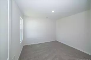 68 Mossy Brg Ct, Lillington, NC 27546 - Photo 20