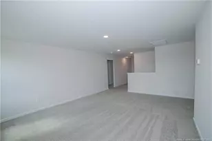 68 Mossy Brg Ct, Lillington, NC 27546 - Photo 24
