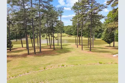 611 Old E C Womack Road, Sanford, NC 27330 - Photo 6