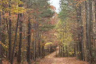 3110 Buckhorn Rd, Sanford, NC 27330 - Photo 2